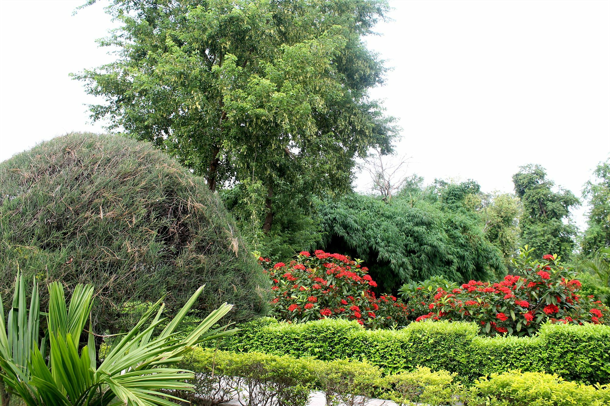 Sambodhi Retreat Hotel Exterior photo